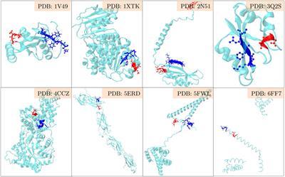 Early Bioinformatic Implication of Triacidic Amino Acid Motifs in Autophagy-Dependent Unconventional Secretion of Mammalian Proteins